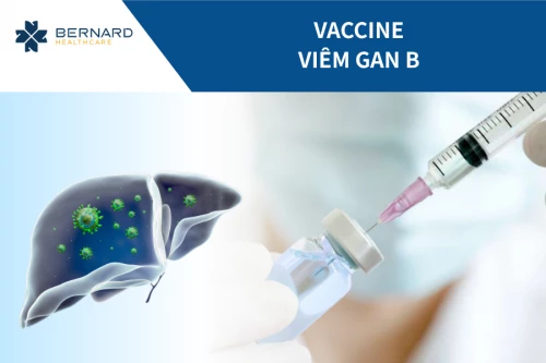 Vaccine viêm gan B (Heberbiovac)